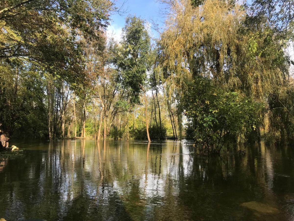 Ancien Moulin A Eau Sur La Seugne Apartment Mosnac  Ngoại thất bức ảnh